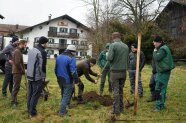 Personen stehen auf einer Wiese und pflanzen einen Baum.