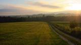 Blick auf Feld mit Wald und Sonnenaufgang im Hintergrund