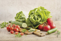 Salatkopf, Tomaten, aufgeschnittene Gurke auf einem Schneidbrett